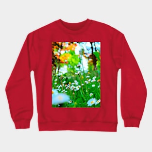 White Daisy Summer Fashion Crewneck Sweatshirt